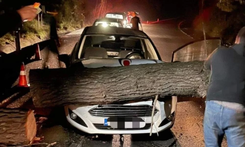 Ηλεία: Τυχερός μέσα στην ατυχία του στάθηκε οδηγός-Δέντρο έπεσε πάνω στο όχημά του